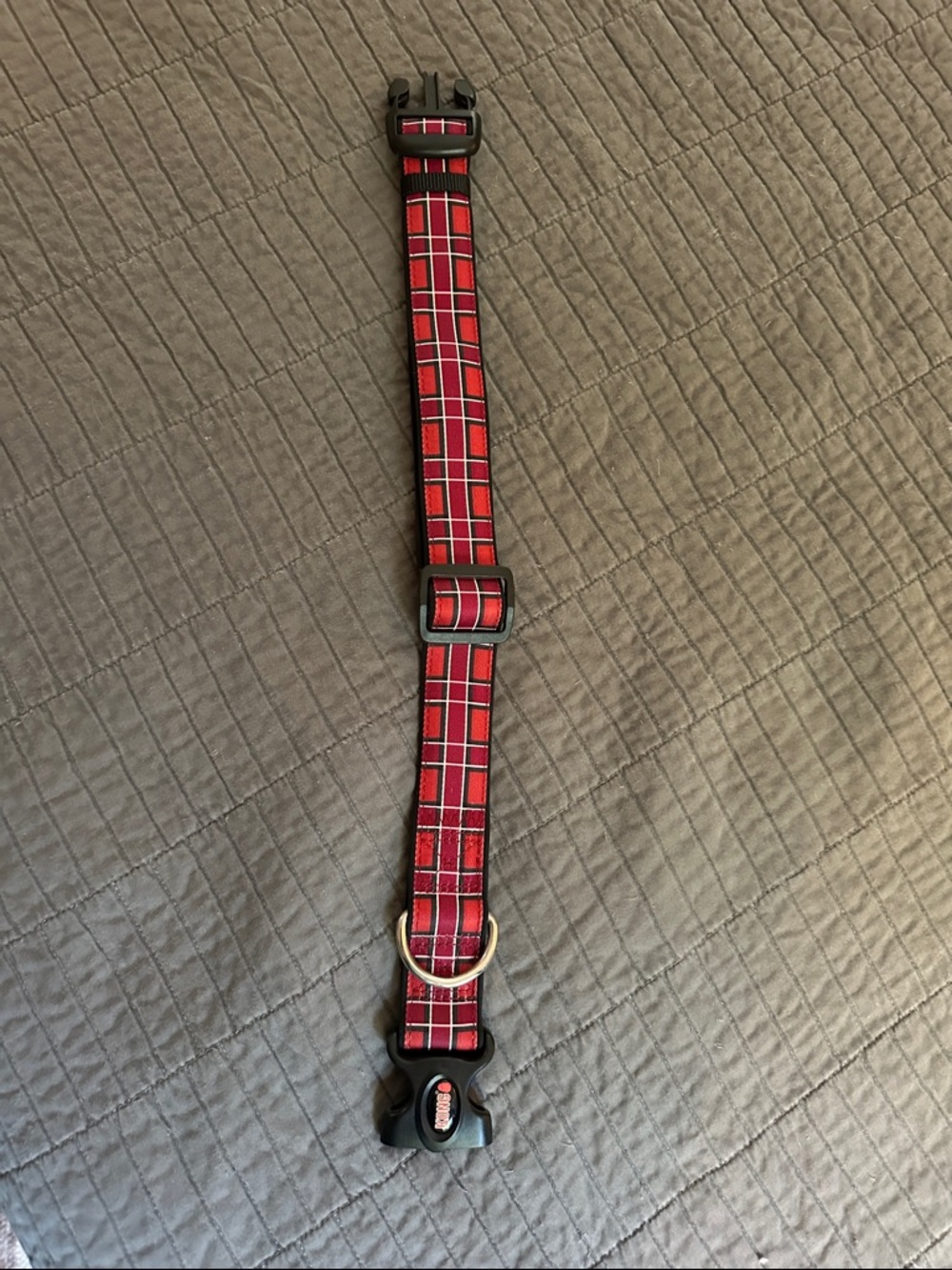 Kong Red Plaid Dog Collar with Black Hardware